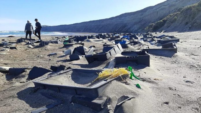 CHUBUT: LAS PLAYAS DE PUERTO MADRYN INVADIDAS POR EL PLÁSTICO | Diario ...
