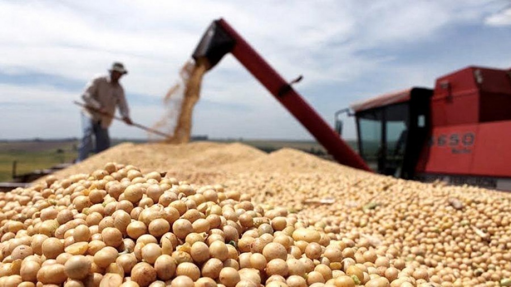 productores ley semillas