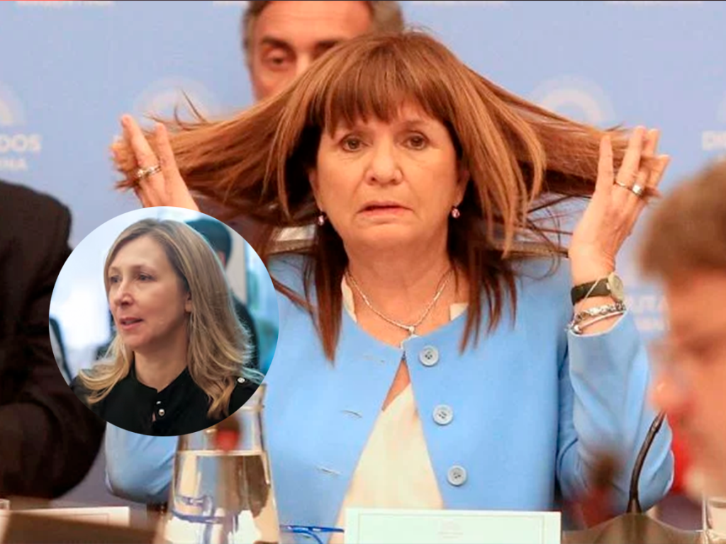 La irónica respuesta de la ministra Bullrich a Bregman sobre el derecho a la protesta: “No leyó la ley”
