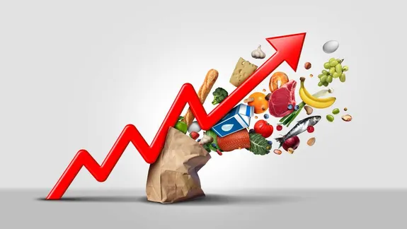Inflación: qué fue lo que más aumentó en diciembre y en todo 2023