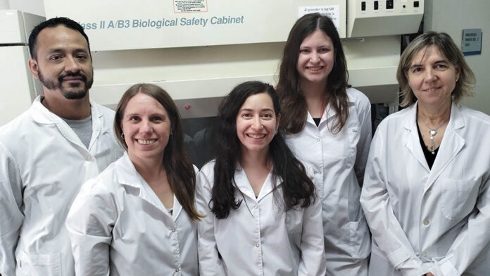Investigadores argentinos desarrollan una terapia preventiva contra el Síndrome Urémico Hemolítico