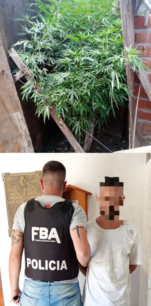 marihuana