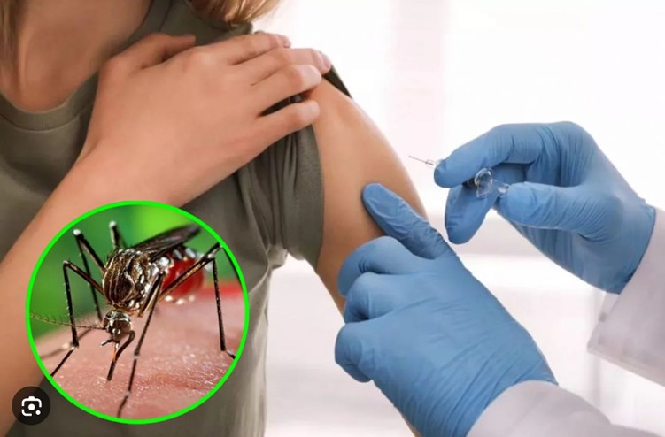 dengue