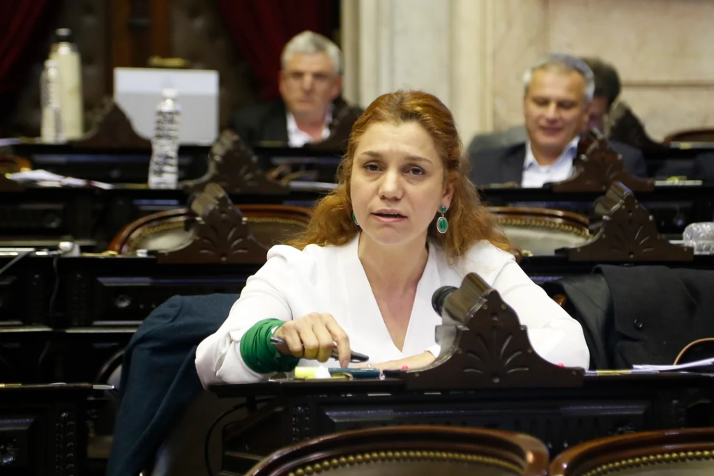 La diputada nacional de la Unión Cívica Radical (UCR) Karina Banfi.