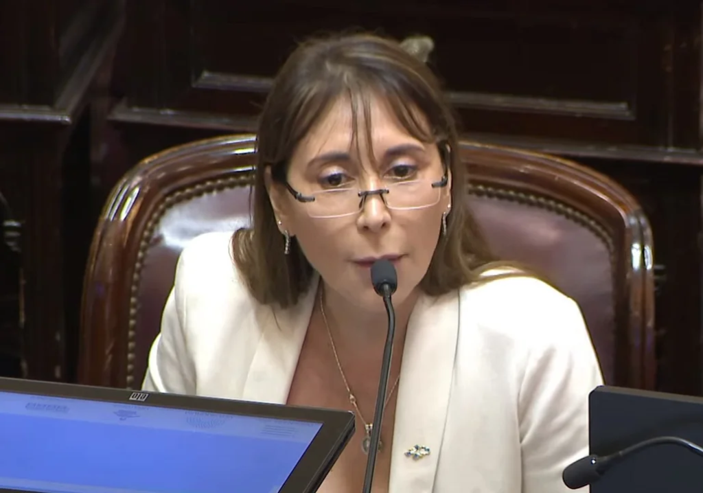 "Enfermo mental": la polémica frase de una senadora kirchnerista contra Milei