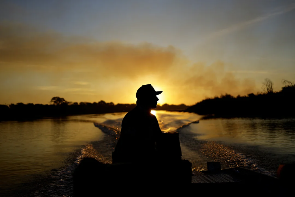 Incendios arrasaron humedales de Brasil y calcinaron animales