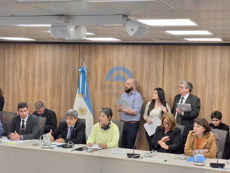 Por segunda semana consecutiva, Pettovello no concurrió a exponer en Diputados