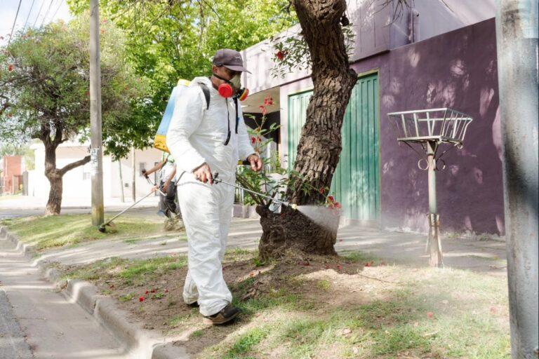 Tras una temporada récord, los casos de dengue en la provincia casi llegan a 100 mil pero siguen en baja