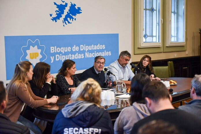 Diputados de UP piden que se investigue a los financistas del intento de asesinato a CFK