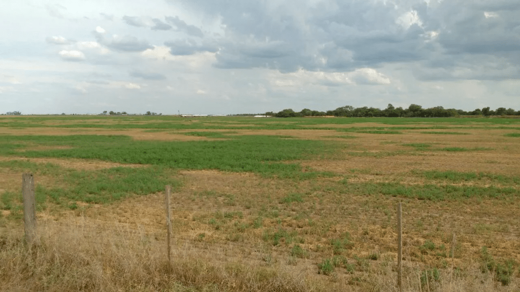 El campo en alerta ante la llegada de La Niña
