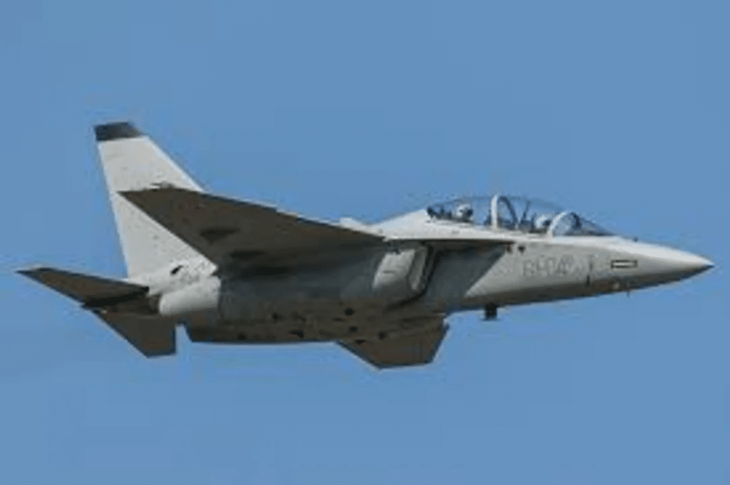 Polonia: se estrelló un avión de entrenamiento y el piloto murió
