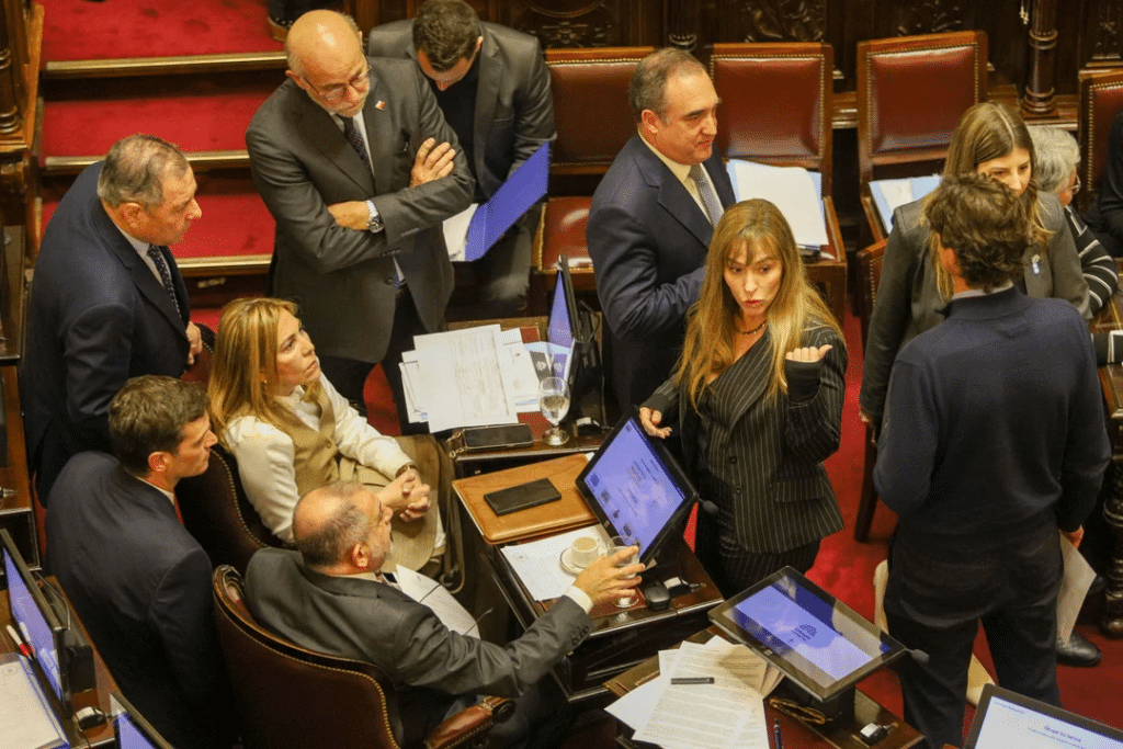 Una senadora opositora calificó a Milei como un "degenerado social"