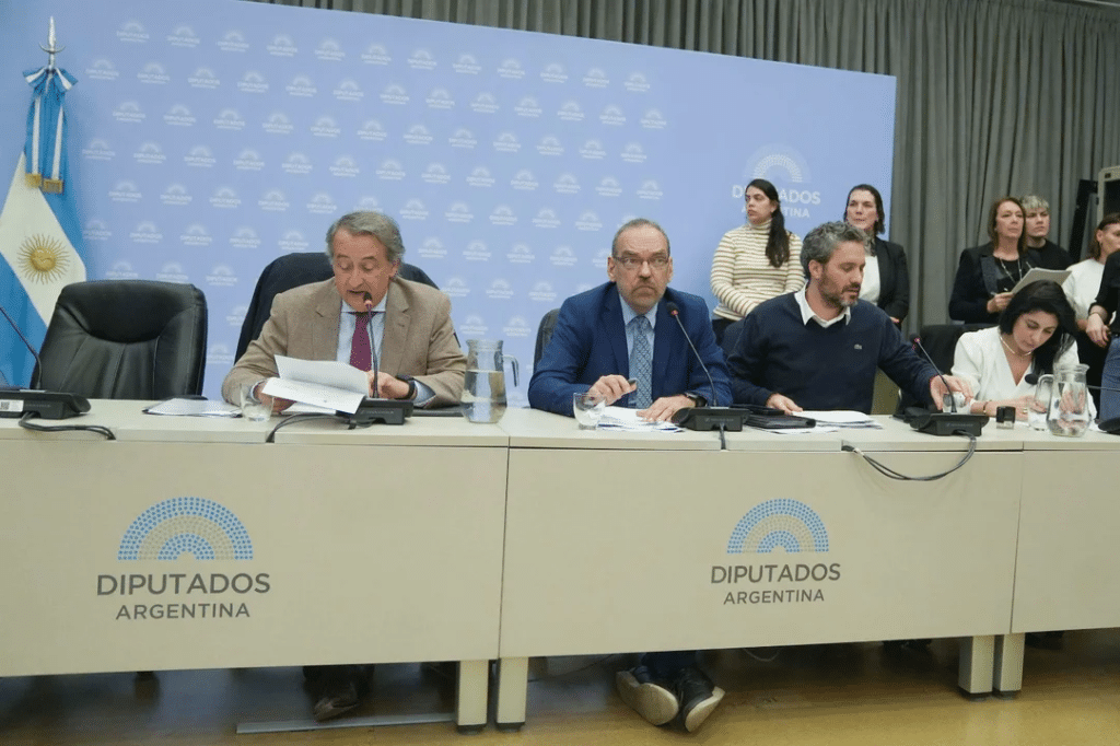 Diputados firmó dictamen a favor del voto por correo para residentes en el exterior