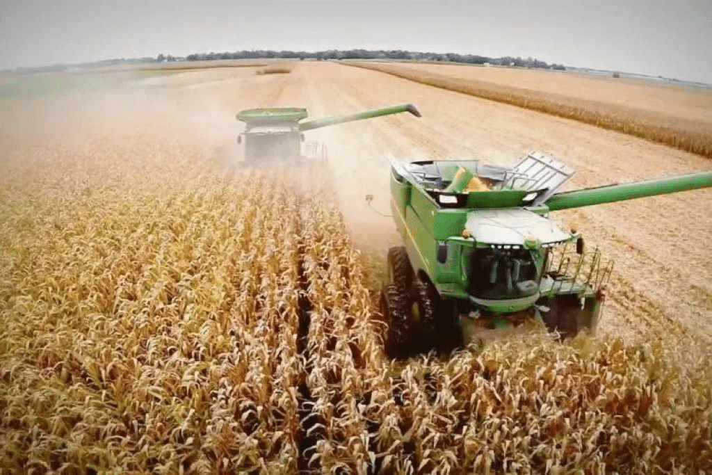 La agroindustria promete ingresar US$ 5.000 millones si el Gobierno baja las retenciones a la soja