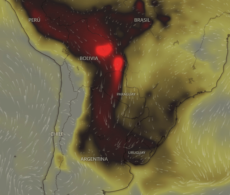Alerta alérgicos y asmáticos: Sudamérica cubierta por una cortina de humo de los incendios en el Amazonas